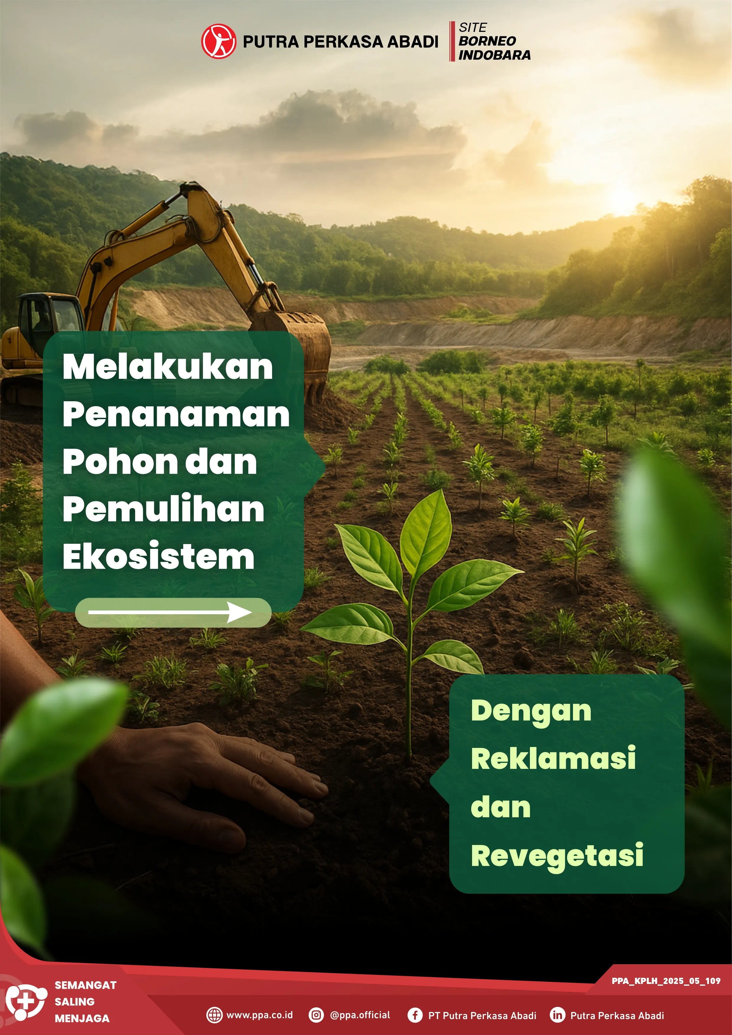 Penanaman Pohon dan Pemulihan Ekosistem untuk Masa Depan yang Lebih Baik
